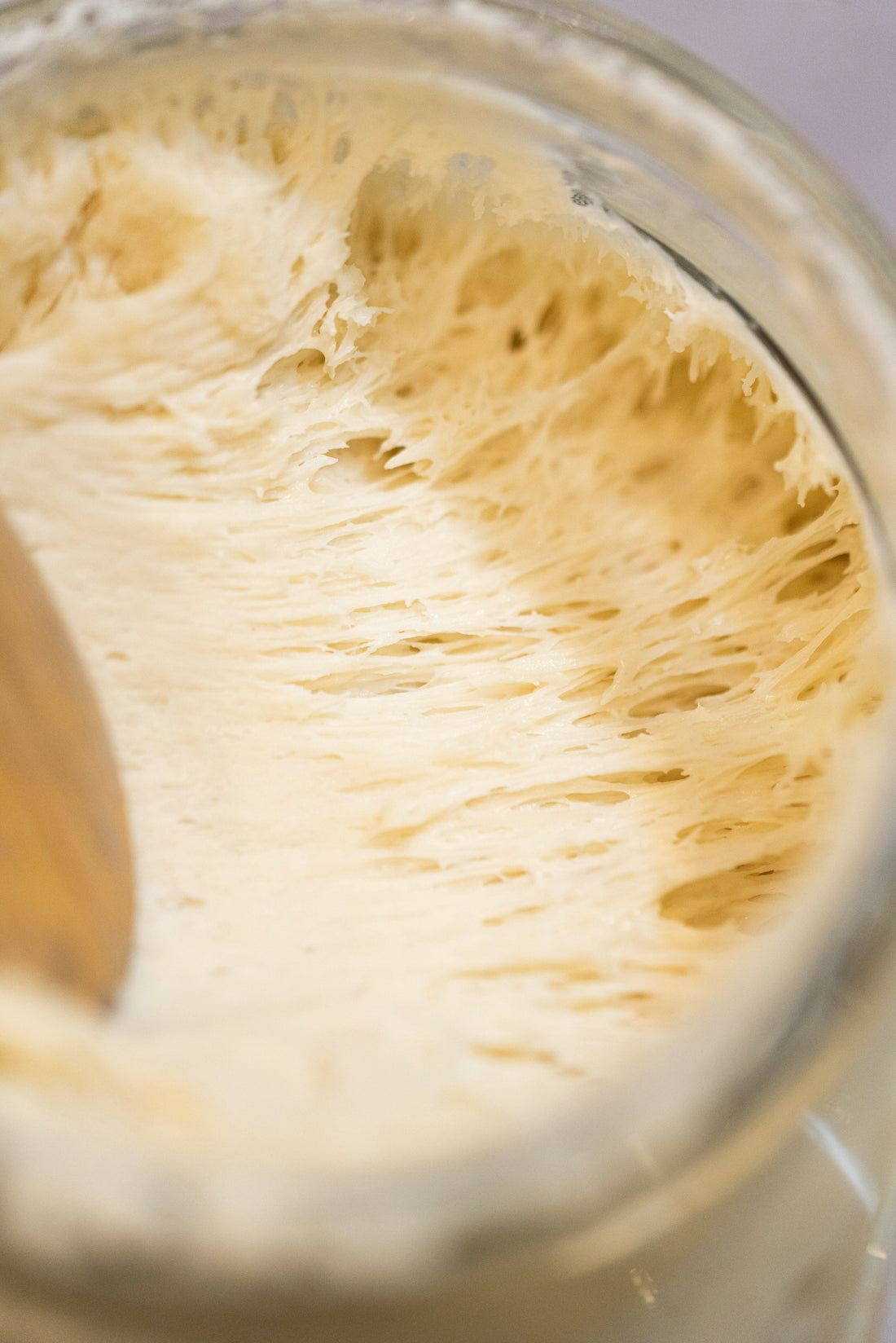 Dough fementing in a bowl